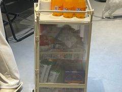 -琪喵猫屋·撸猫猫咖·猫舍