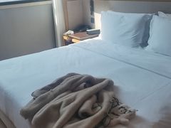 -杭州逸酒店(西湖武林店)