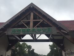-上海海湾国家森林公园