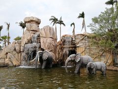 -美的鹭湖探索王国