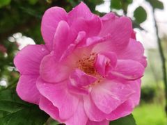 -樱桃山旅游景区