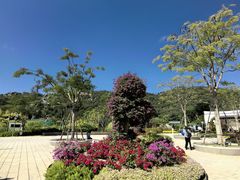-厦门园林植物园-植物园滴水山房
