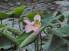-江南大学(蠡湖校区)