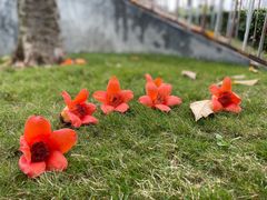 -文华公园(禅城区)