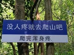 -肥仔文澳门猪骨煲(南京西路店)