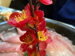 -丽江庭院·云南野生菌·海鲜火锅(鼓楼四合院店)
