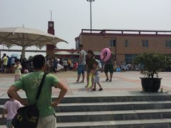 -碧海金沙