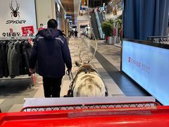 -王府井奥莱棋盘山小镇