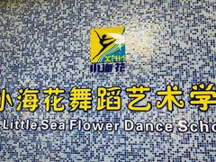 -小海花舞蹈艺术学校