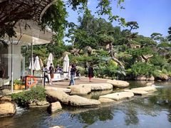 -罗红摄影艺术馆