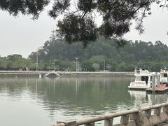 -长洲岛