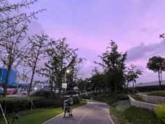 -上海山野camping·户外天幕烧烤·团建拓展营地