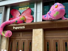 -帕帕拉兹宠物(亚洲旗舰店)