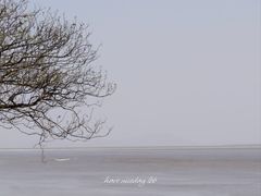-观潮胜地公园