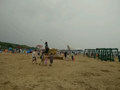android_upload_pic-碧海金沙