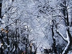 -庐山风景名胜区