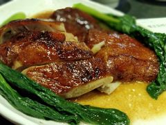 黄金脆皮烧鸭饭-百事佳烧鸭牛腩(上海虹桥站店)