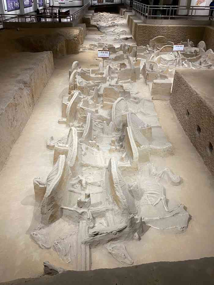 虢国博物馆-"虢国博物馆是建立在西周虢国墓地遗上的博物.