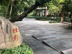 -晓港公园