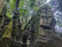 -梭布垭石林景区