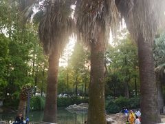 -苏州河梦清园环保主题公园