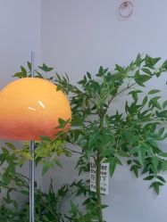 点击看大图 -变美丽半永久纹眉连锁·机器野生眉•洗眉