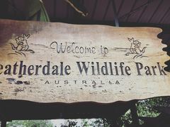 -费瑟代尔野生动物园