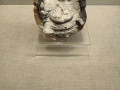 -青海藏文化博物院