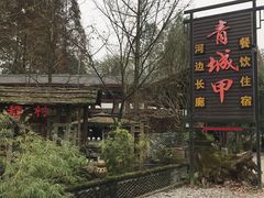 -青城甲(青城山店)