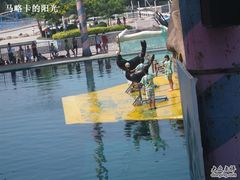 -秦皇岛乐岛海洋王国