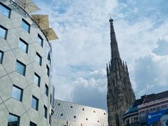 -斯蒂芬主教座堂(Stephansdom)