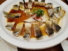 -鲁宴·鲁煨黄河生态大鲤鱼(月坛店)