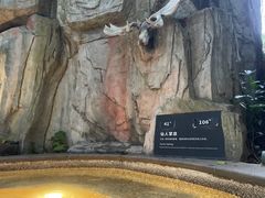 -海口观澜湖火山温泉谷