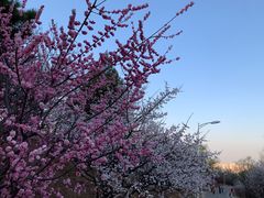 -北京鹫峰国家森林公园