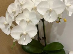 -逸栈养生SPA(望京店)