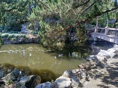 -叶家花园