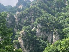 -王顺山国家森林公园