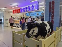 -红星前进面包牛奶公司(君太店)