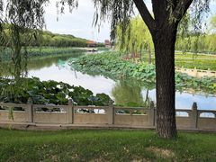 -南戴河国际娱乐中心