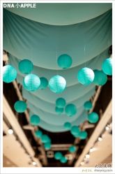 -DNA Wedding 婚礼记(上海店)