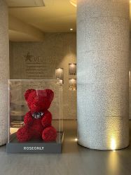 -VELEE·SPA高定疗愈会所