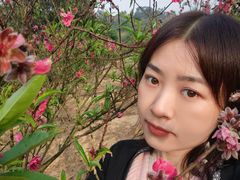 -南国桃园旅游度假区