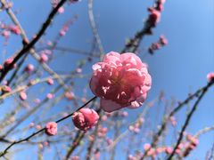 -三里河公园