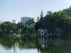 -晓港公园