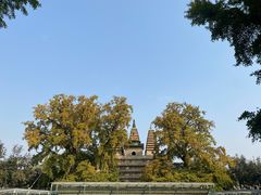 -北京石刻艺术博物馆(五塔寺)