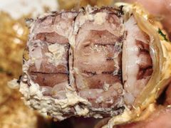 -泰华海鲜中餐厅(普吉镇店)