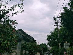 -杨家火锅(国美店)