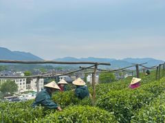 -龙坞茶村