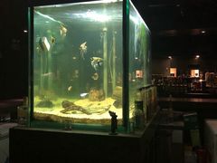 -Strawberry Butterfly草莓蝴蝶日式水果挞