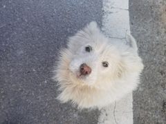 -白鹿洞书院